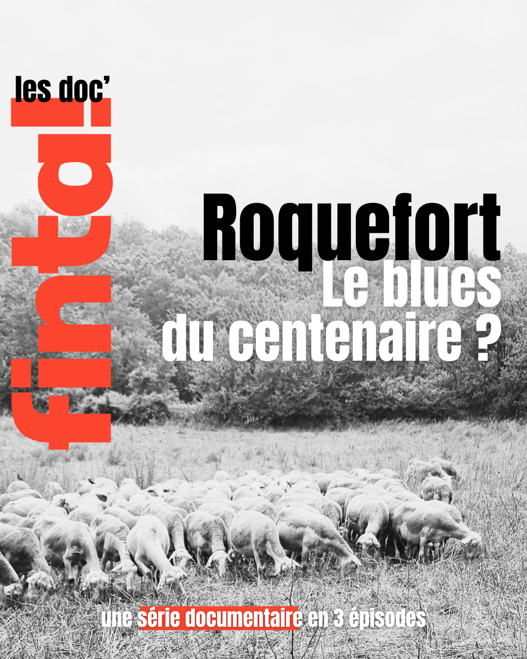 Lire la suite à propos de l’article Série documentaire : Roquefort, le blues du centenaire ?